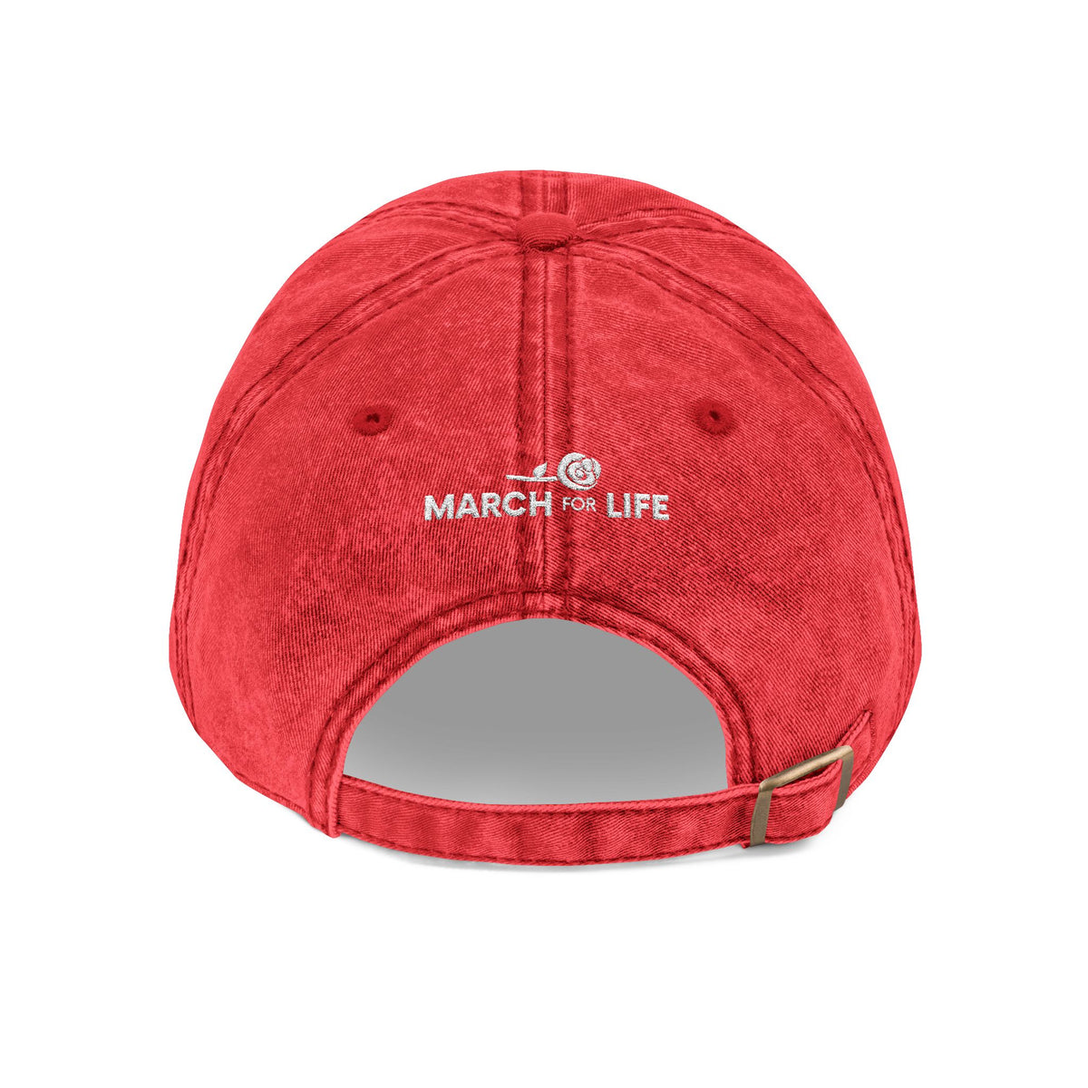 the truth is pro-life - Embroidered Vintage Cap