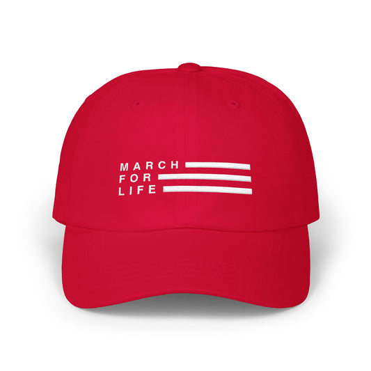 March for Life Flag Hat